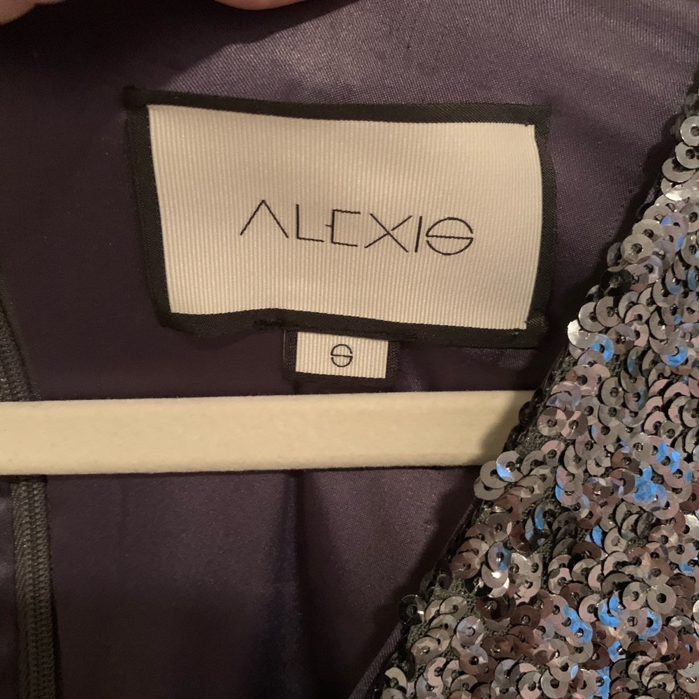⭐️ Alexis Sequin Dress ⭐️ - Picture 7 of 7